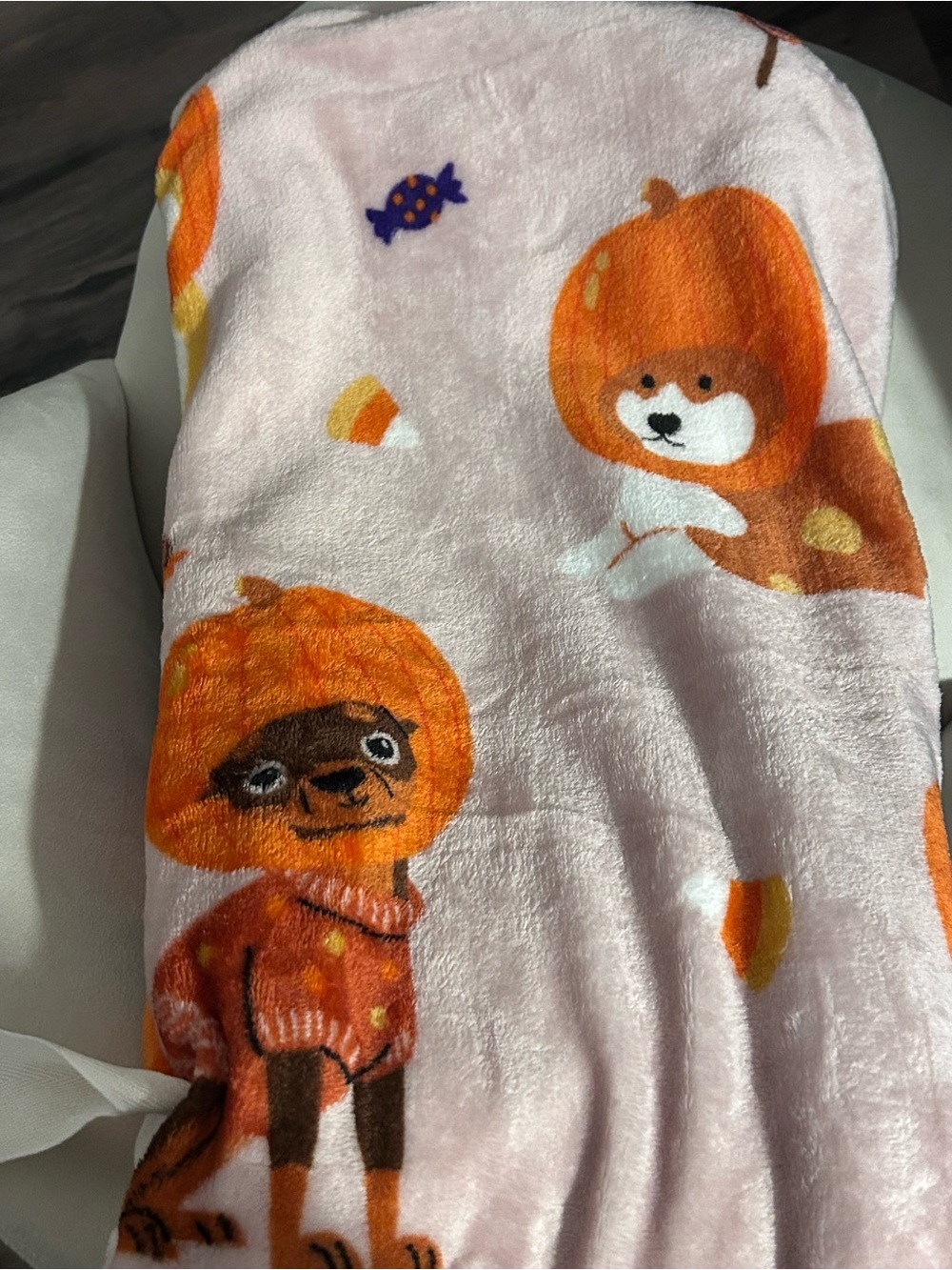 Berkshire Per fall plush throw toy set 50x60 fall pet blanket
